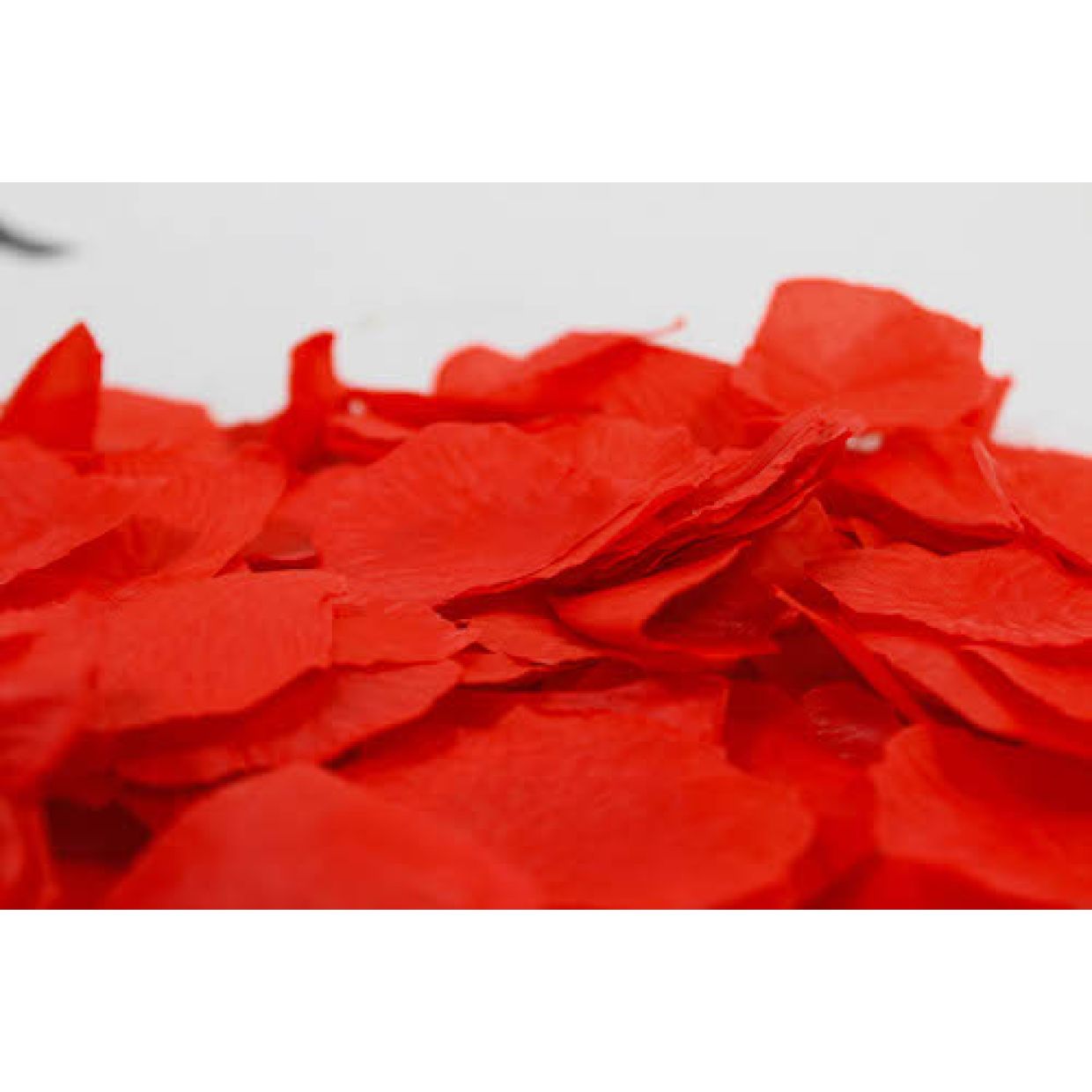 Rose Petals