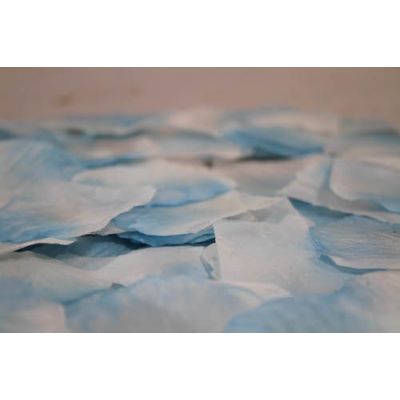 Rose Petals