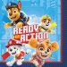 Paw Patrol Items