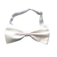 Tie - Neck/Bow