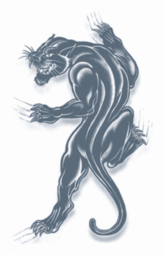 Jewelry / Hair/ Face Items