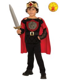 Little Knight Costume