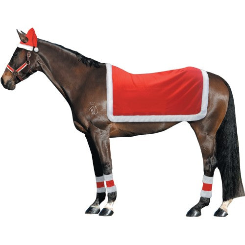 Horse Costumes - Christmas